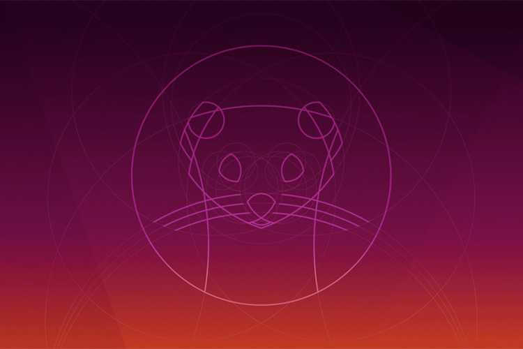 Getting ready for Ubuntu 20.04